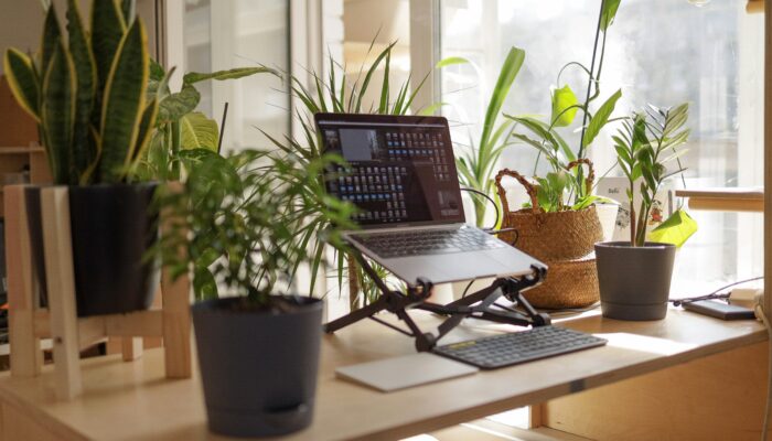 Top Tools to Maximize Productivity at Work and Home